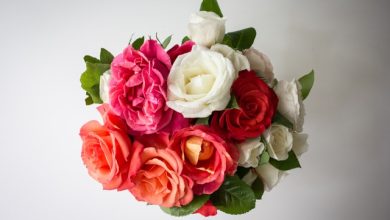 order roses online