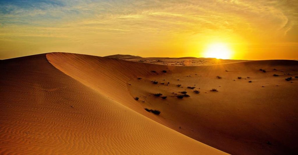 Desert safari dubai