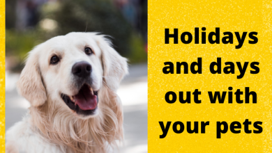 Holidays and days out with your pets