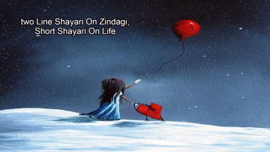 two Line Shayari On Zindagi,