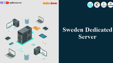 Sweden Dedicated Server (13)
