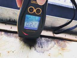 Mold Testing in Clearwater