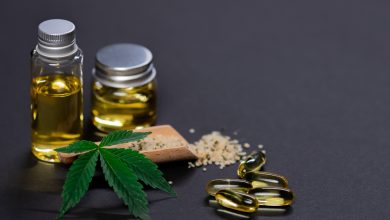 CBD Critical Mango seeds