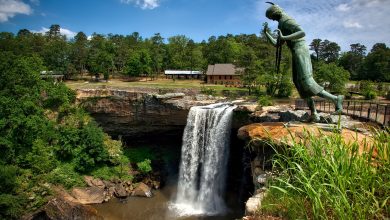things to do near Madison, Alabama