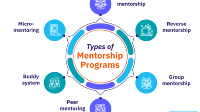 mentorship programs